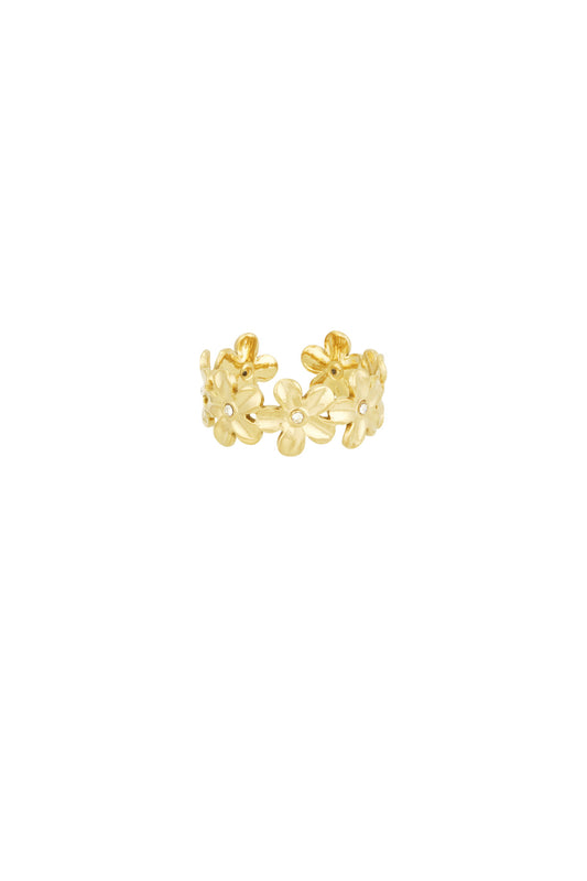 Ring | Daisy chain